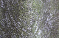 Leconfield fibreglass roof work